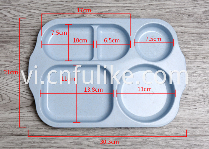 Divided Plate